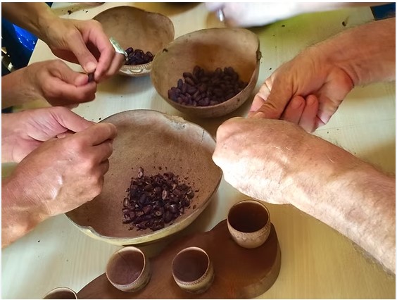 Atelier cacao : de la fève à la tablette de chocolat - photo 2
