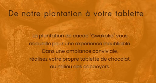 Atelier cacao : de la fève à la tablette de chocolat - photo 4