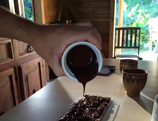 Atelier cacao : de la fève à la tablette de chocolat - photo 3