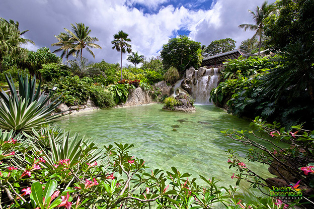Billet Jardin botanique - photo 1