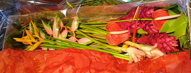 Carton de fleurs - photo 1