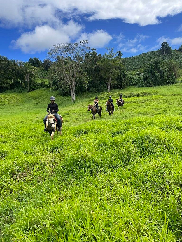 Balade à cheval en forêt - photo 1