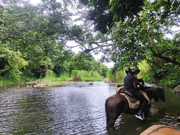 Balade à cheval en forêt - photo 2