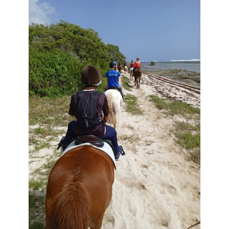 Balade à Cheval en campagne - photo 1