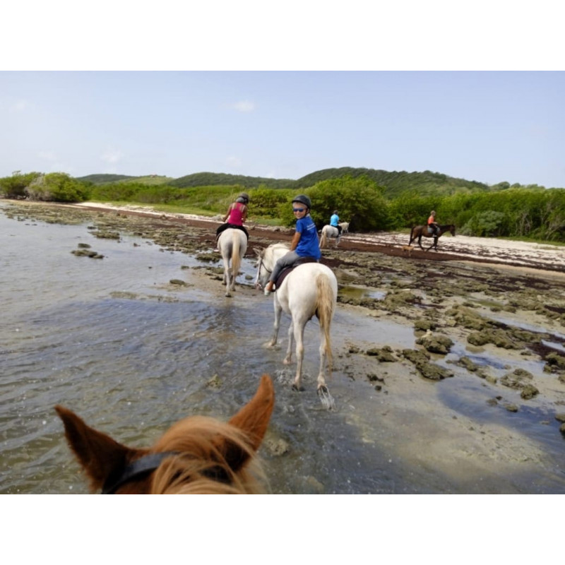 Balade à Cheval sur le littoral - photo 2