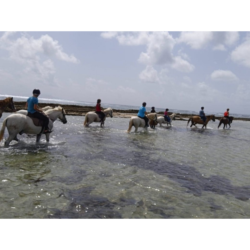 Balade à Cheval sur le littoral - photo 1