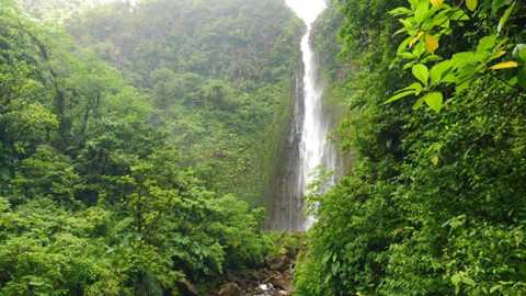 Chutes du Carbet, traditions & nature - photo 1