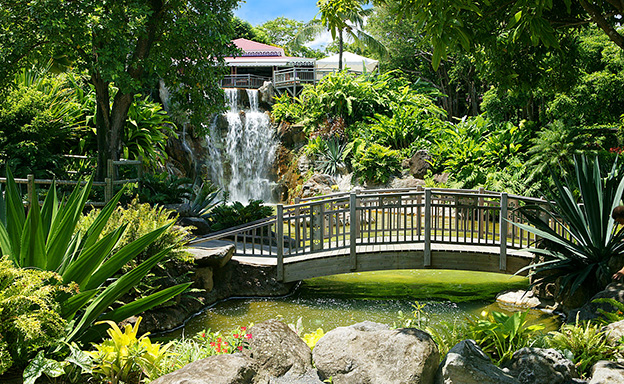 Découverte du Jardin Botanique de Deshaies - photo 1