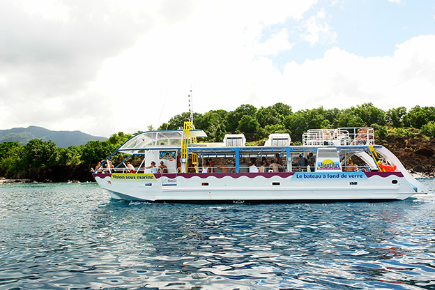 Demi journée Les Fonds Marins : Bateau à fond de verre et cascade - photo 3
