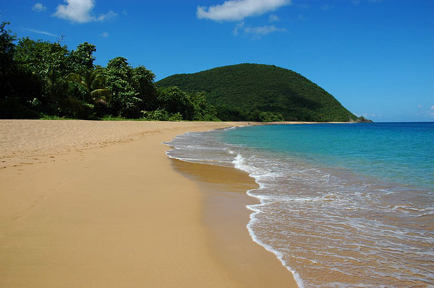 Demi-journée 4x4 au Nord Basse-Terre - photo 1