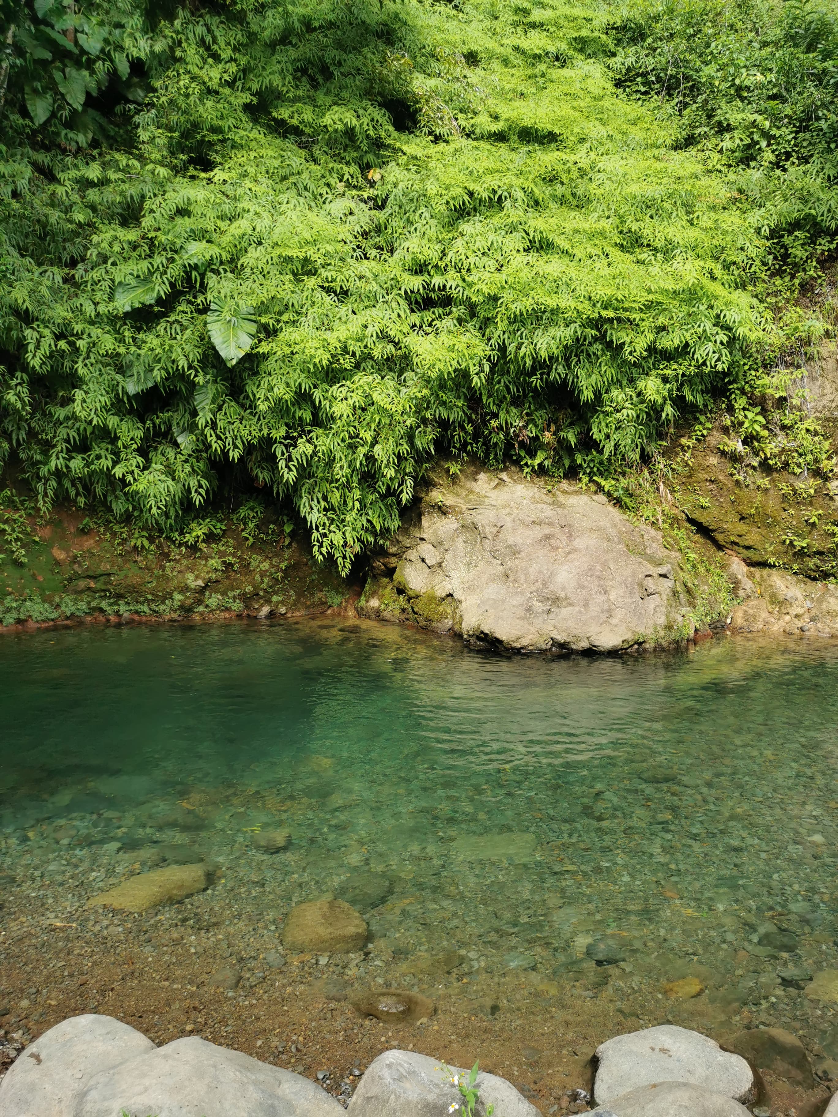 Parenthèse nature au cœur du Parc National - photo 1