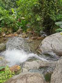 Demi-journée 4x4 au Sud Basse-Terre - photo 4