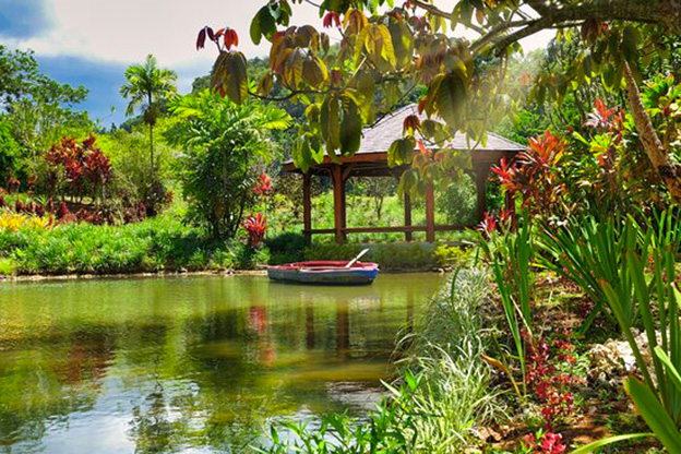 Jardin de Valombreuse – Évasion florale - photo 2