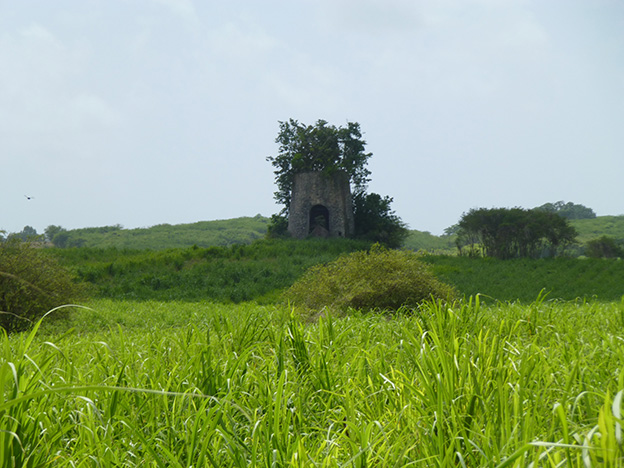 Demi-journée Grande-Terre Nord - photo 2