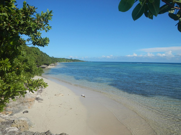 Demi-journée Grande-Terre Nord - photo 1