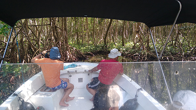 Demi-journée dans le lagon en version privative - photo 3