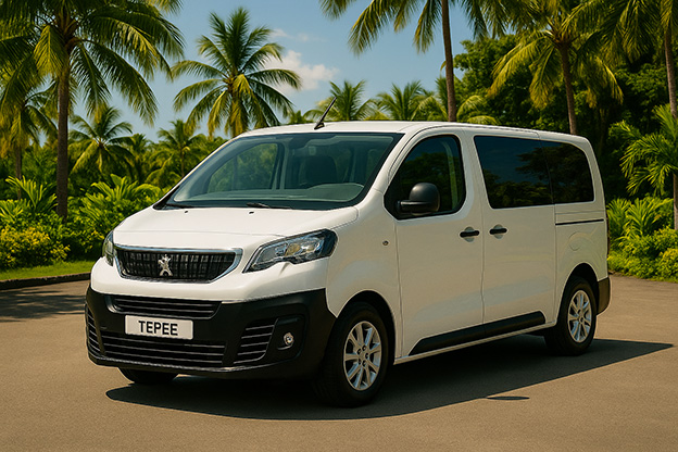 Location de voiture Mini Bus - photo 1