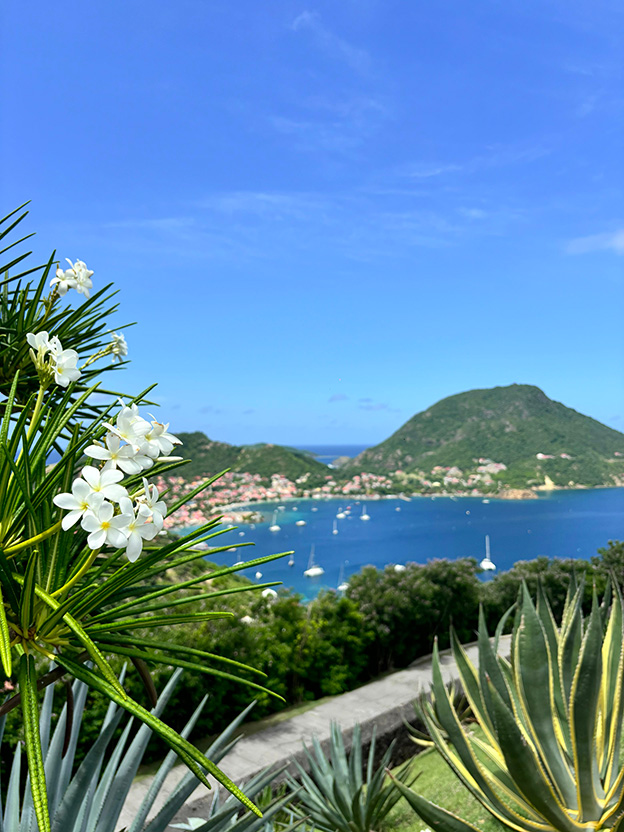 LES SAINTES : Échappée côté Terre - photo 1