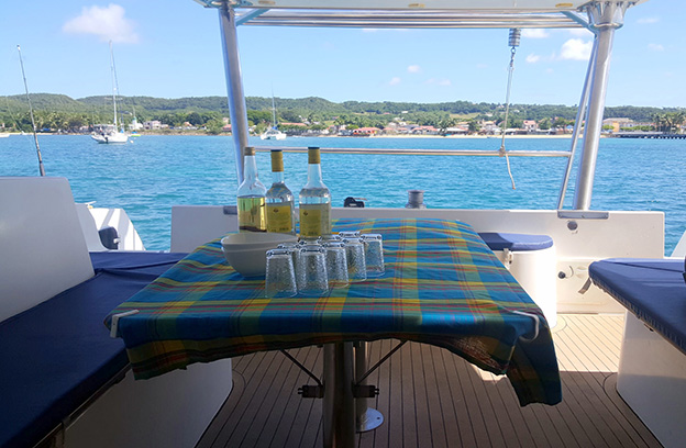 MARIE-GALANTE : Catamaran moteur - départ Saint François - photo 1