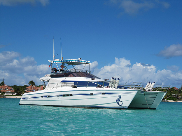 MARIE-GALANTE : Catamaran moteur - départ Saint François - photo 2