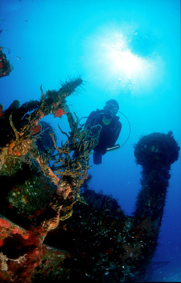 Plongée sous-marine - Port Louis - photo 1