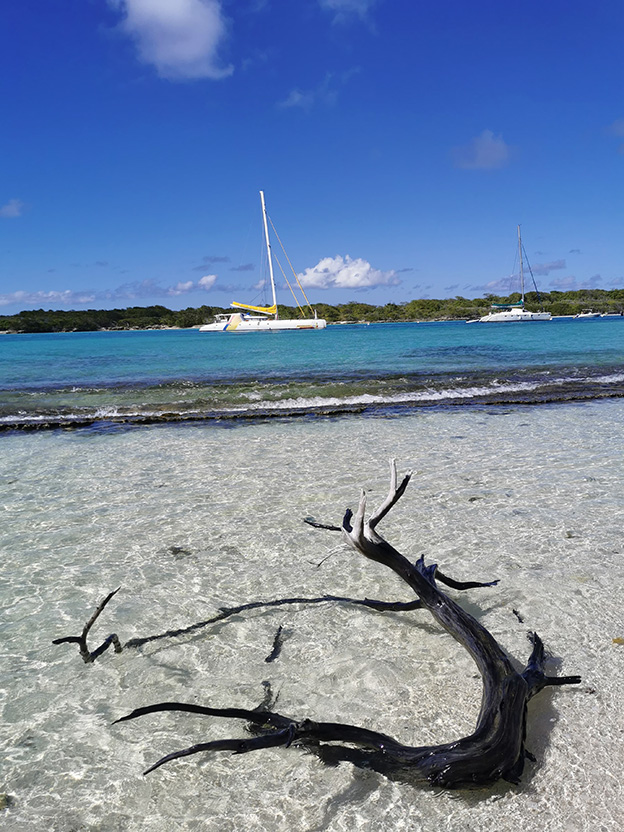 PETITE-TERRE : Journée en catamaran à voile - photo 1