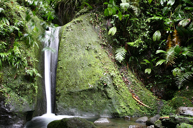 Une aventure en 4x4 au Sud de la Basse-Terre - photo 3